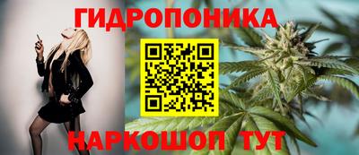 крисы Будённовск
