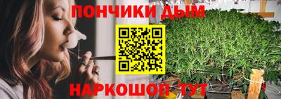 крисы Будённовск