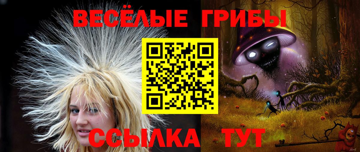 Галлюциногенные грибы MAGIC MUSHROOMS Сергиев Посад