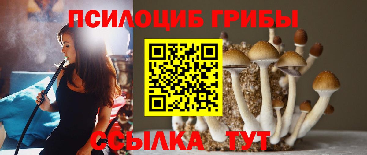 Сергиев Посад  Галлюциногенные грибы ЛСД  Вход с VPN 