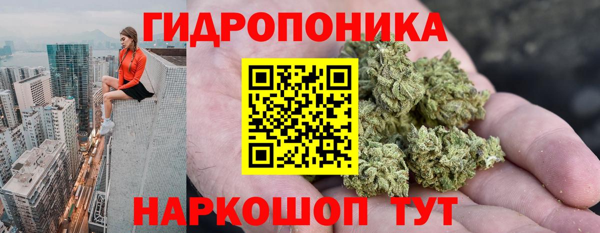 Шишки марихуана план Сергиев Посад
